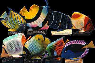 Assorted Hand Painted Angel Fish