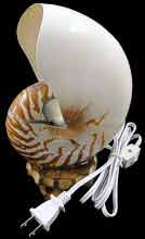 Nautilus Lamp