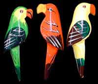 Parrot Magnets