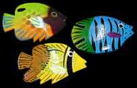 Angel Fish Magnet