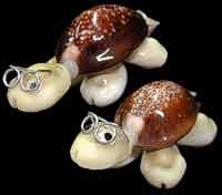 Caput Turtle Magnets