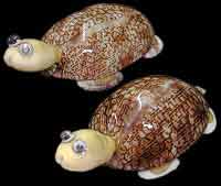 Arabic Turtle Magnet