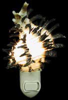 Murex Longspine Nitelite