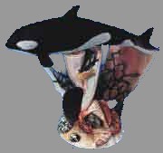 Orca Ocean Scene 2 (Single)