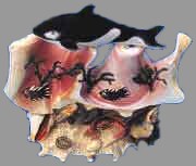 Orca Ocean Scene (Single)