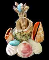 Scallop Shell w/Toothpicks