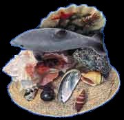 Dolphin Ocean Scene (Single)