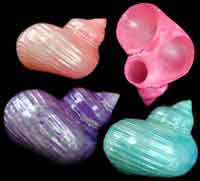 Color Turbo Napkin Rings