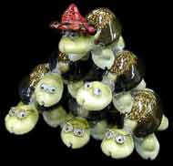 Pyramid Turtles