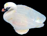 Mother of Pearl Swan