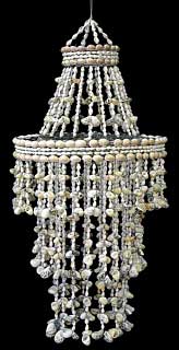 Nerita Shell Chandelier