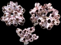 Barnacle Clusters