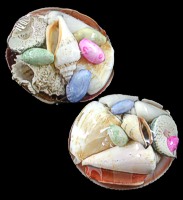 Tigrina Clam Shell Pack