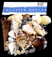 Creative Shell Bag