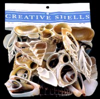 Creative Cut Shells