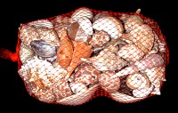 Net Shell Bag