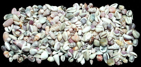 Beach Mix (Small)