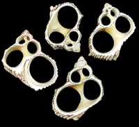 Center Cut Gold Mouth