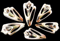 Center Cut Strawberry