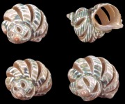 Multi-Cut Green Turbo