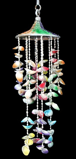 Large Multi-color Clam