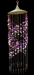 Criss-Cross w/ Parrot